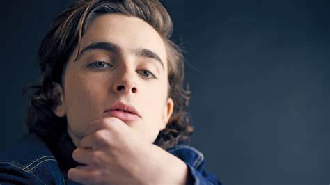 timothee chalamet cock|Timothee Chalamet on His Racy Sex Scene in ‘Call Me By Your。